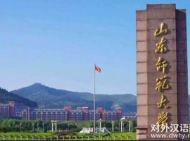 山東師范大學國際教育學院2023年漢語國際教育碩士預調劑公告 ...